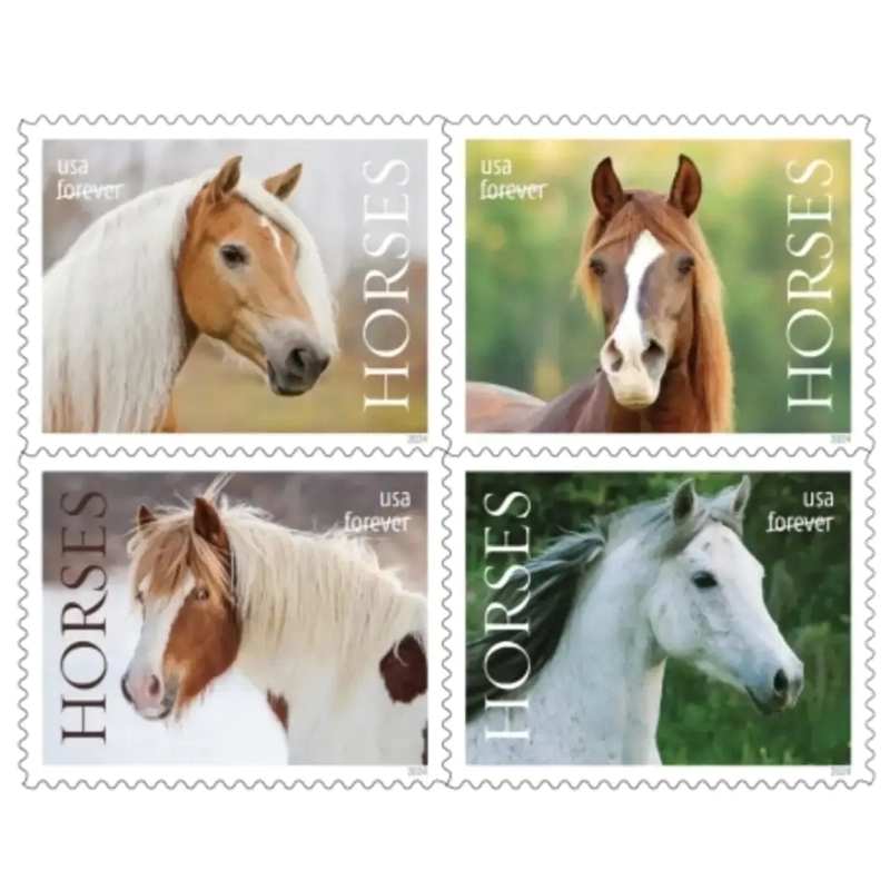 2024 Horses Stamps forever stamps
