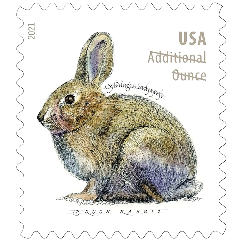 2021 Brush Rabbit Additional Ounce Forever Postage Stamps