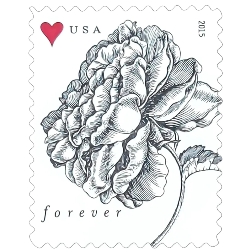 2015 Vintage Rose Pane Wedding Forever Postage Stamps